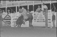 Mike McDow on Bull #10