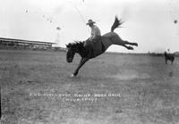 Fox O'Callahan Riding Bareback Martin Rodeo