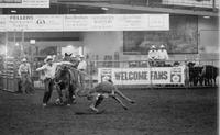 Randy Weaver Calf roping