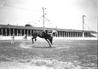 [Unidentified Cowboy leaving bronc head-first still holding reins]