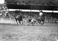 Shorty McCrory Bulldogging Ft. Smith Rodeo