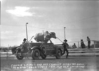 Jonnie Grimes and his Famous Brahma Bull "New Deal" Colo. State Fair, Pueblo