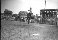 [Unidentified Cowboy riding totally airborne bronc]