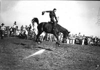 [Unidentified Cowboy with reins in left hand and hat in right behind him rides bronc]