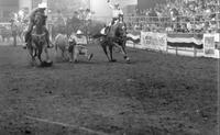 Joel Edmondson Steer wrestling