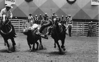 Gary Green Steer wrestling