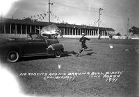 Kid Roberts and His Brahma Bull, Sidney Iowa Rodeo 1941
