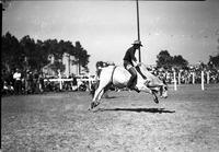 [Unidentified cowboy riding Brahma steer]