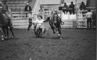 Jim Hiner Steer wrestling