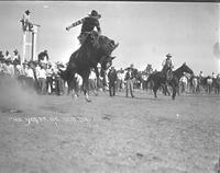 Phil Yoder on "Old Dad" Cheyenne, Wyo.