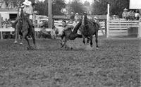 Steve Canik Steer westling