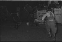 Vern Smith on Bull #B10