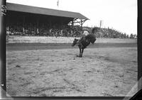 Bob Graham on Empty Saddles