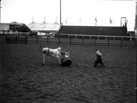 Geo. Mills - bull fighter - Sammy Reynoso in barrel