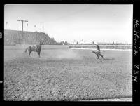 Chuck Sheppard Calf Roping