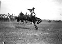 Ed Rosenbury on "Fox" Sheridan Rodeo