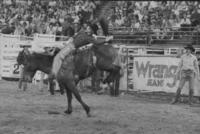 Ty Murry on Jake