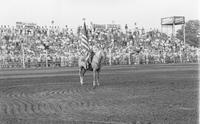 Grand entry, flag bearer Shelley Hall