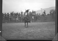 Leland Gibbs Bareback Exhibition