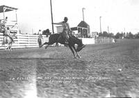 Ed Elliott on "Hot Shot" Memphis Fair & Rodeo