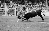 Rodeo clown Rick Chatman Bull fighting