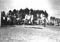 [Unidentified Cowboy riding Brahma bull which is airborne, Cowboys around chutes look on]