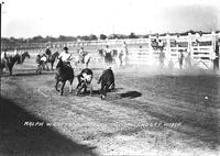 Ralph Warren Bulldogging Muskogee Rodeo