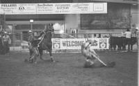 Allen Bates Calf roping