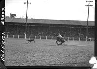 Bill Linderman Calf Rope  29.0 sec