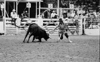 Rodeo clown Rick Chatman Bull fighting