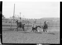 Whiz Whizenhunt Steer Wrestling