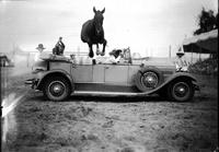 [Possibly Ranger the horse jumping over auto containing male & female passengers]