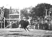 Dude Colbert Leaving Bull Durham, Ft. Smith Rodeo