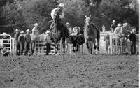 Jeff Dorenkamp Steer wrestling