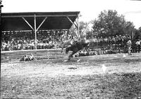 [Unidentified Cowboy leaving side of bronc heading toward the trash-covered arena floor]