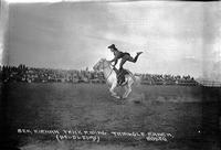 Bea Kirnan Trick riding Triangle Ranch Rodeo