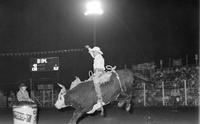 Cody Lambert on Bull #O27