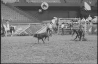 Larry Robinson Calf roping