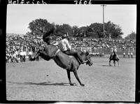 Jim O'Hara on Popeye