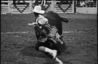 Rodeo clown Steve Mowry Bull fighting