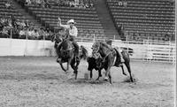 Larry Smith Steer wrestling