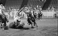 Russ Swanson Steer wrestling