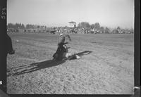 Pete Gale Calf Roping