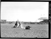 Merle Davis Calf Roping