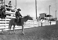 [Unidentified Cowboy on horse poking its nose out pulling on bit; in arena with fence behind]