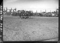 Bob Christensen Steer Wrestling