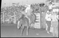 Jeff Hart on Moon Shine