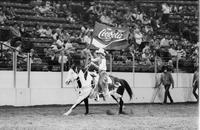 Linda Scholtz Flag bearer