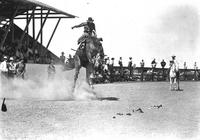 Chick Dayton on "Scobey" Wolf Point Stampede