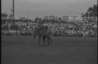 Phil Smith on Valley"s Colt